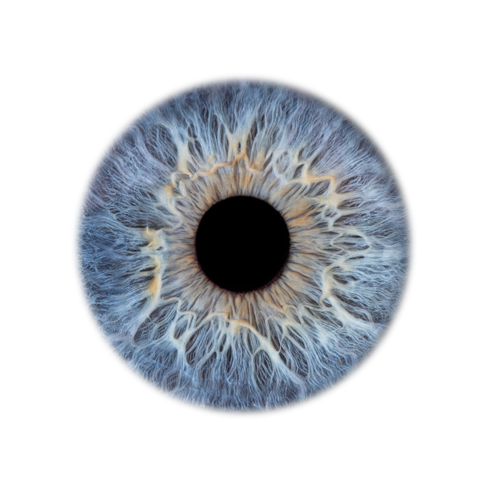 irisfotografie graz
